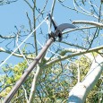 SEKATOR GĄSIENICOWY TELESKOPOWY PIŁA OGRODOWA Z TRZONKIEM 