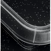 POJEMNIK NA ŻYWNOŚĆ ANTIBACTERIAL 20x20 ORGANIZER 2 L