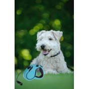 Smycz dla psa automatyczna rozciagana 5m niebieska