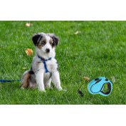 Smycz dla psa automatyczna rozciagana 5m niebieska