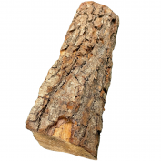 DREWNO KOMINKOWE BRZOZA 5 KG