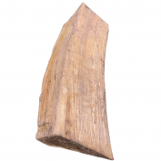 DREWNO KOMINKOWE BRZOZA 10 KG