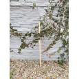 PALIK GEODEZYJNY 30 CM