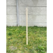 PALIK GEODEZYJNY 30 CM