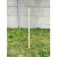PALIK GEODEZYJNY 30 CM