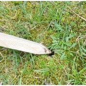 PALIK GEODEZYJNY 30 CM