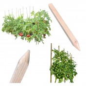 PALIK GEODEZYJNY 30 CM