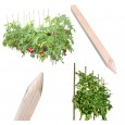 PALIK GEODEZYJNY 30 CM