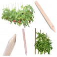 PALIK GEODEZYJNY 30 CM