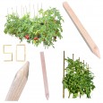 PALIK GEODEZYJNY 30 CM