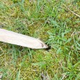 PALIK GEODEZYJNY 30 CM