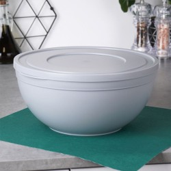 Miska do wyrastania ciasta z pokrywką 25 cm, 4 l