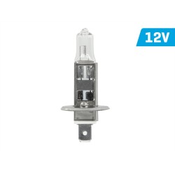 2x ŻARÓWKA VISION E4 55W 12V H1